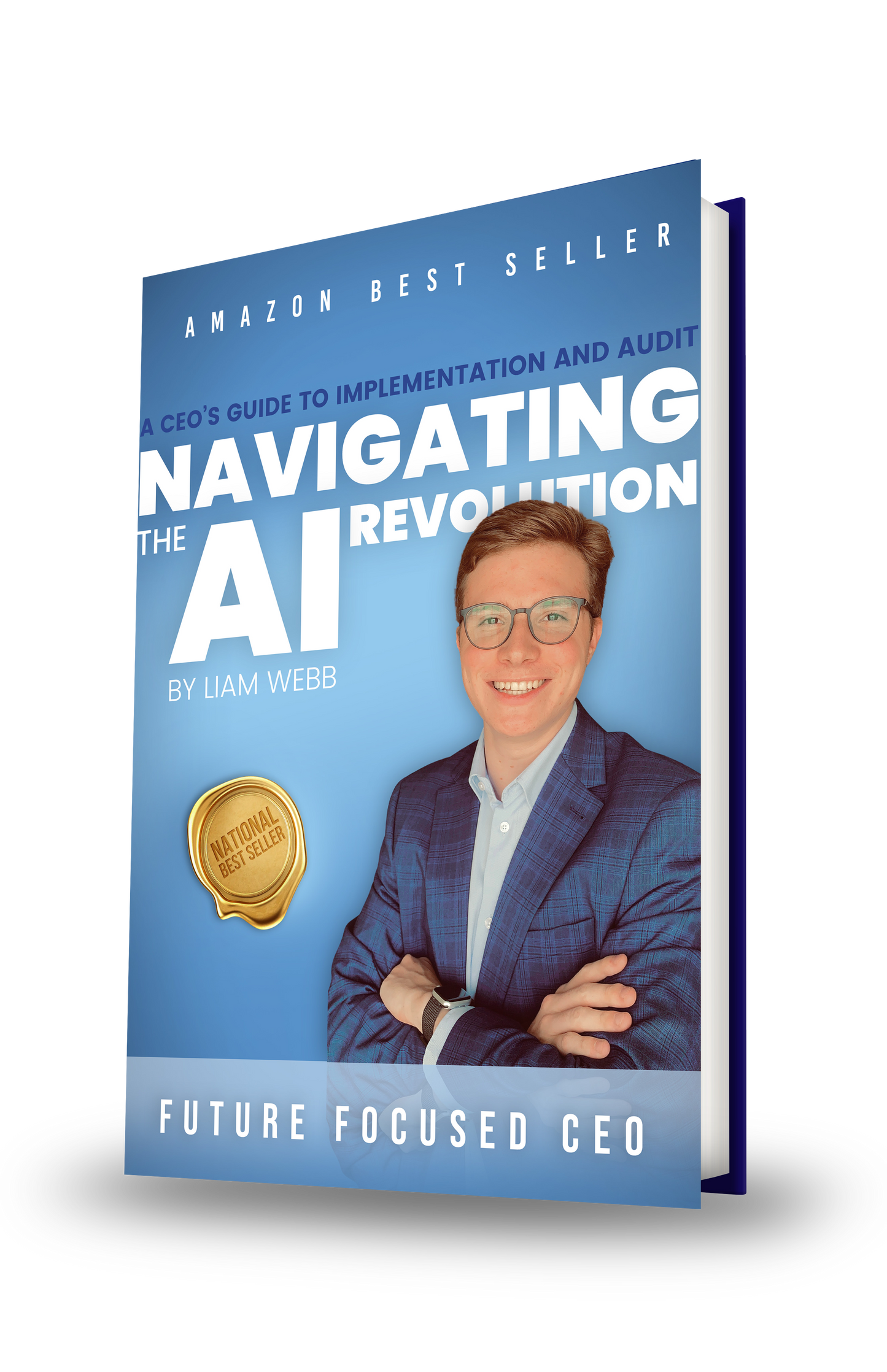 A CEO's Guide to implementation and Audit