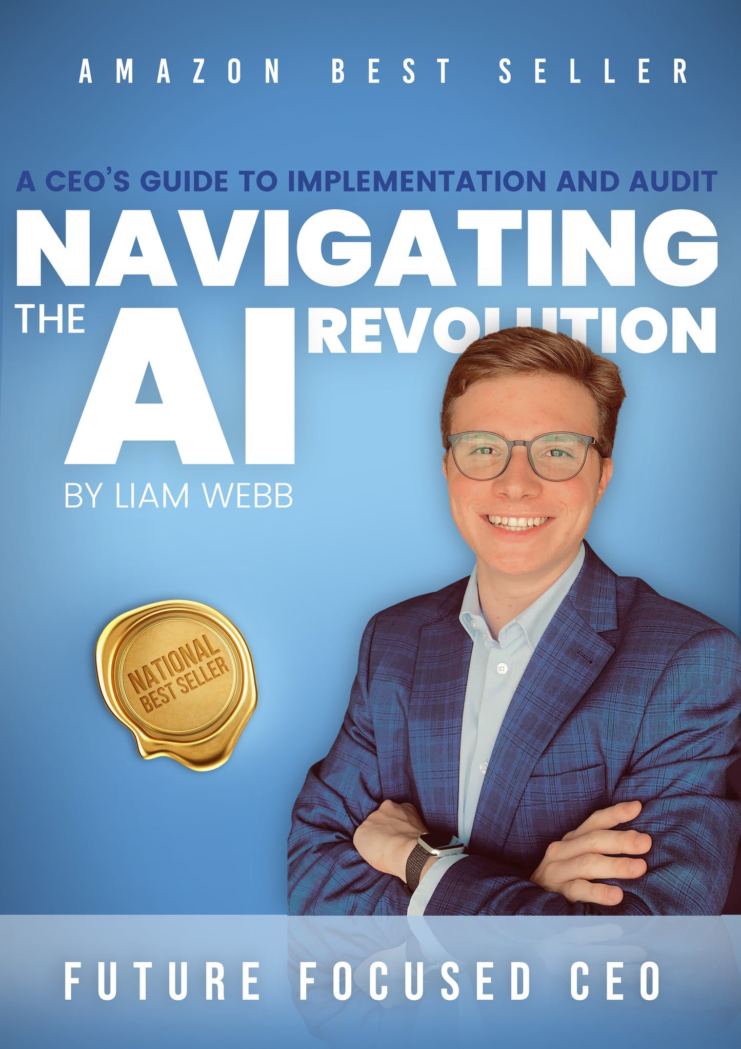 A CEO's Guide to implementation and Audit